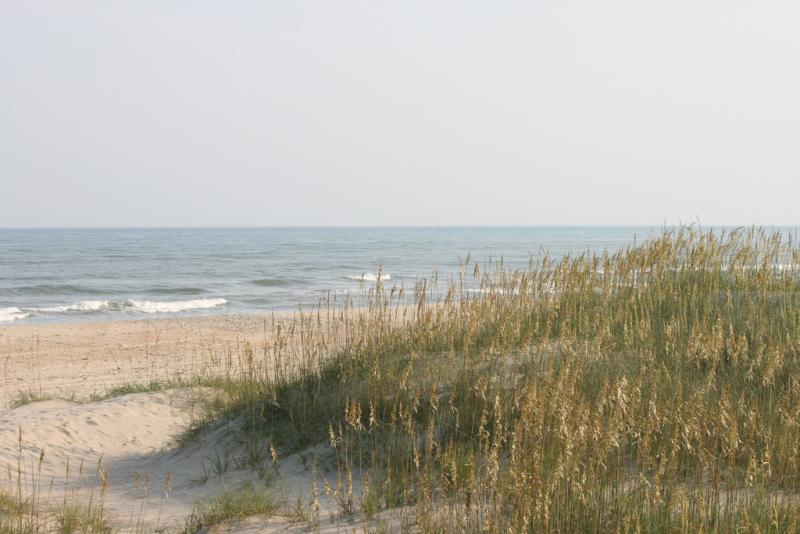 Beach on Ocracoke Island. The dunes are covered in grasses and the ocean waves break in the background. It is midday.