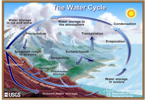 Diagram of the water cycle