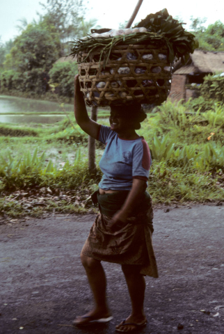 Walk home from market