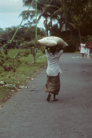 Woman carries large sack of rice balanced on head