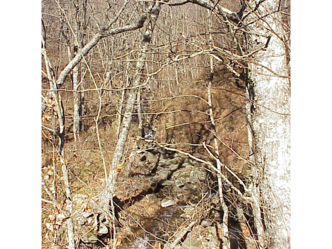 High elevation in small headwater drainage creek-Roan Highlands