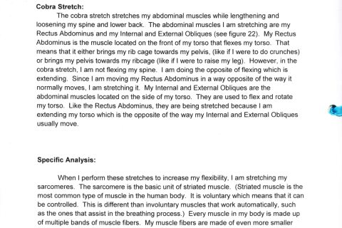 Student work sample: Stretches