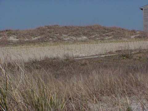 Dune building/stabilization project-Bogue Banks