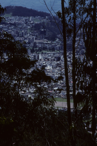 Populated hillside in Quito, Ecuador