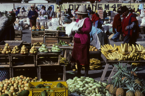 Fruit market in Cajabamba, Ecuador