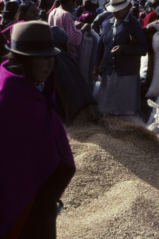 Grain for sale in Cajabamba, Ecuador