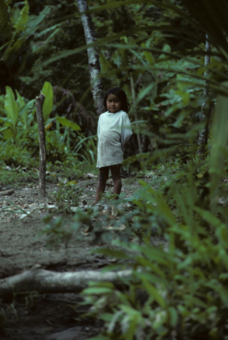 Young child stands in Ecuador's rainforest
