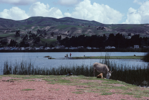 Lake at the base of rolling hills near Riobamba, Ecuador