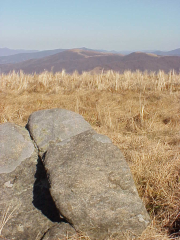 Grassy bald on Round Bald