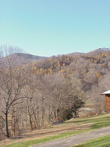 Northern hardwood community