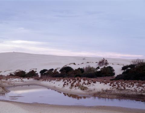 Jockey's Ridge State Park