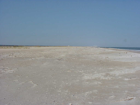 Masonboro Island