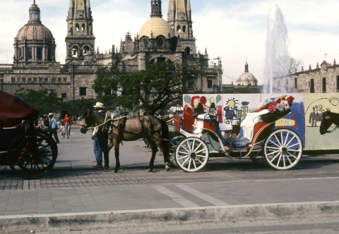 Horse-drawn carriages in front of Guadalajara's Metropolitan Cathedral