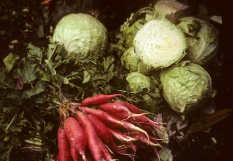 Vegetable market in Tlaquepaque, Mexico