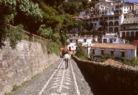 Stone-paved path in Taxco, Mexico