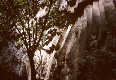 Basalt cliffs near Cuernavaca, Mexico