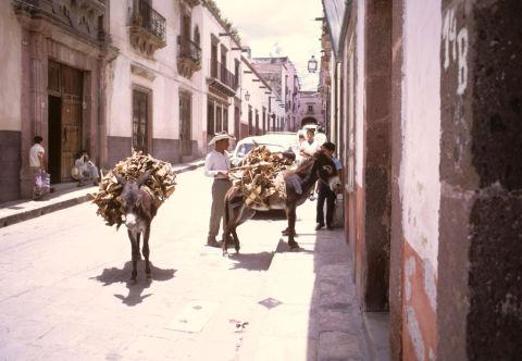 Peddling carvings in San Miguel de Allende, Mexico