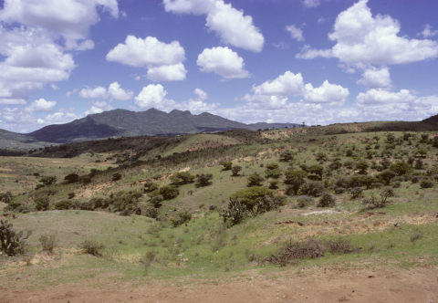 Countryside surrounding  Dolores Hidalgo, Mexico