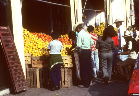 Fruit market in Irapuato, Mexico