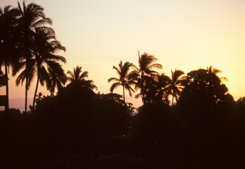 Sunset at Puerto Vallarta, Mexico