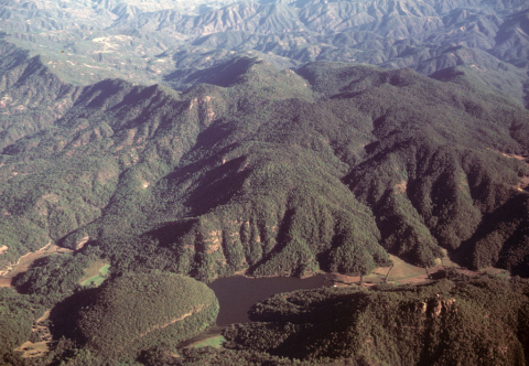 Tree-carpeted hills outside Puerto Vallarta, Mexico