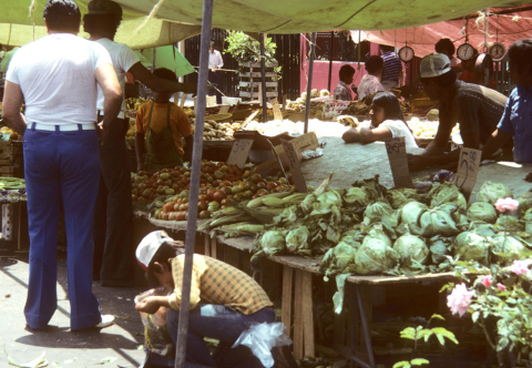Outdoor covered market in Tijuana, Mexico