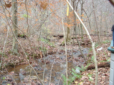 Natural stream 4 of 4