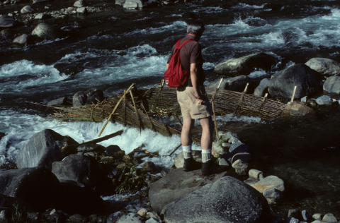 River fish trap