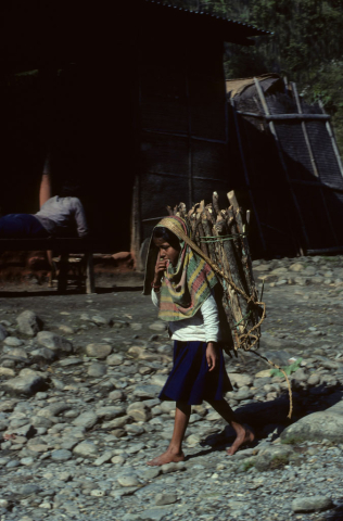 Girl carrying firewood
