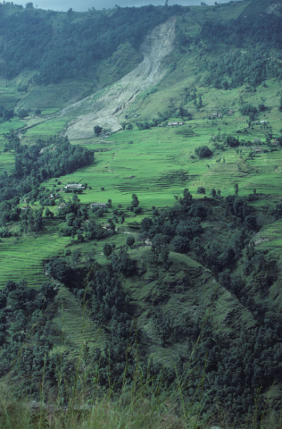 Terraced fields of Naudanda, Nepal