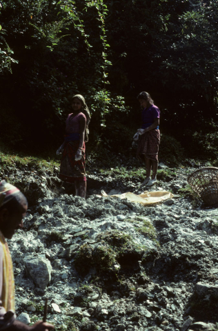 Two women digging out limestone dust for white-washing