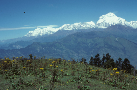 Dhaulagiri mountain