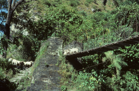 Goats crossing a bridge over the Kali Gandaki river