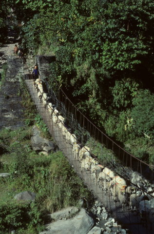 Herd of goats crossing the Kali Gandaki river