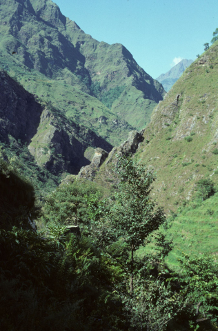 Valley and forest vegetaion