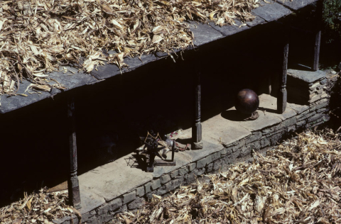 Corn husks drying on a porch