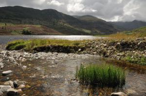 Pools in Glen Cannich