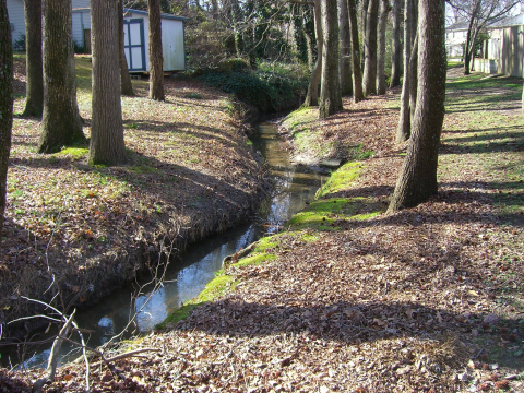 Urban stream 1 of 4