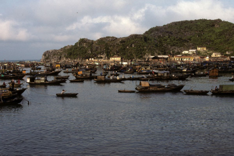 Fishing boats in Bai Chay harbor with town and hills in background