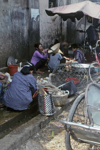 Market women squat by ducks and wares in Chinatown alley of Ho Chi Minh City