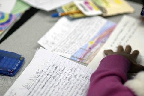 Student volcano project